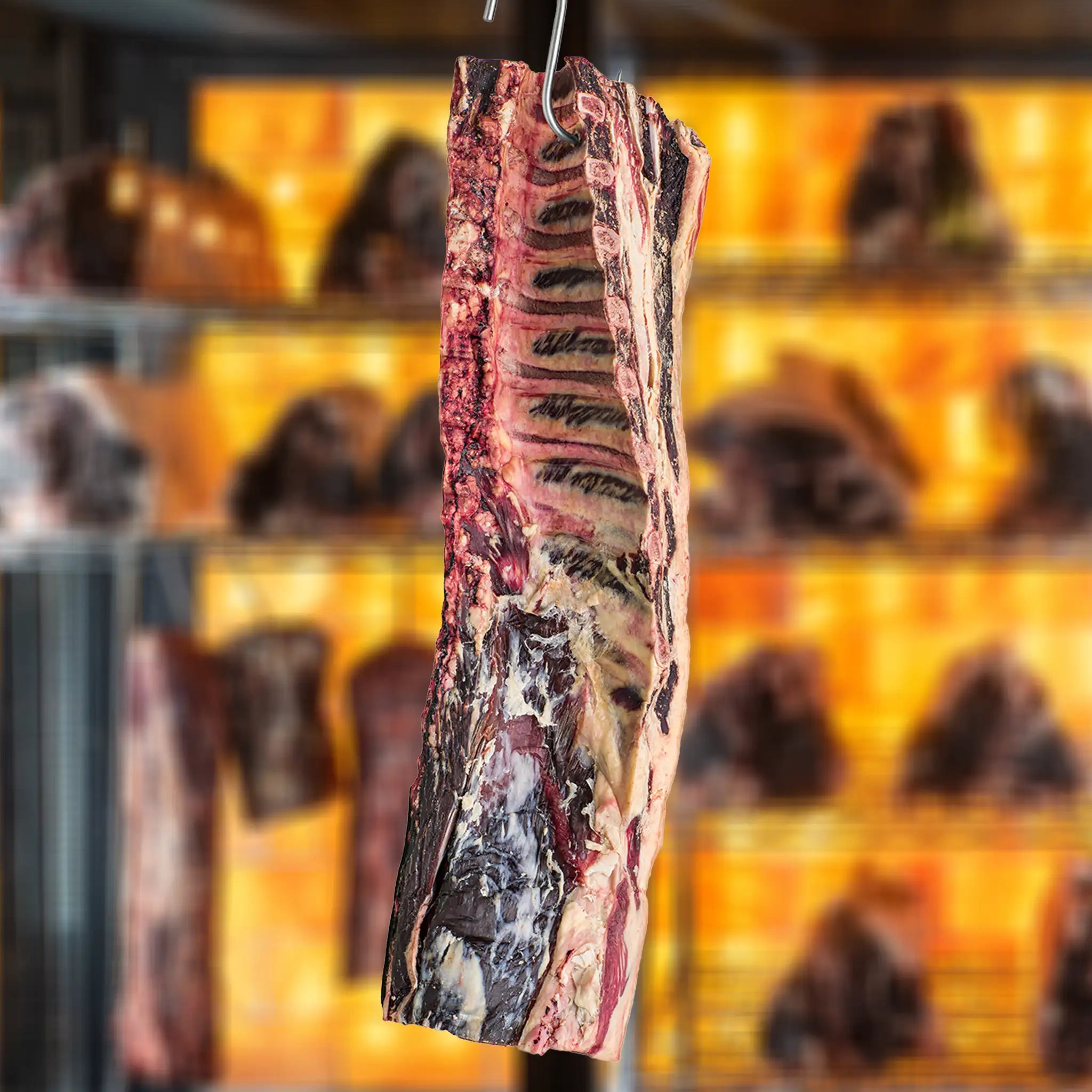 Whole dry-aged beef loin - incl. fillet & bone